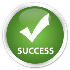Success (validate icon) soft green glossy round button
