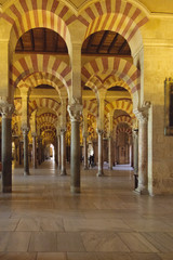 Obraz premium Mezquita, de ongelooflijk mooie kathedraal/moskee van Córdoba
