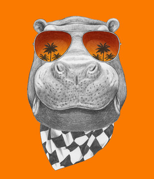 Portrait of Hippo with mirror sunglasses and scarf. Hand drawn illustration.