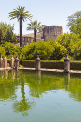 Obraz premium Córdoba, Alcazar de los Reyes Católicos,Córdoba, Alcazar de los Reyes Católicos, (Burcht van de Katholieke vorsten) 