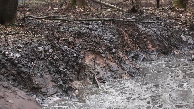 Dirty mud in the deep forest