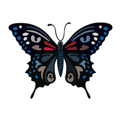 Colored butterfly logo