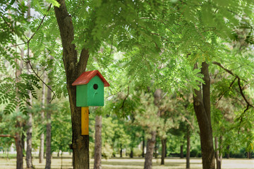 Birdhouse in the Park