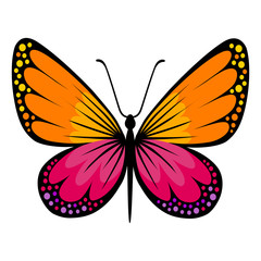 Colored butterfly logo