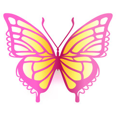 Obraz na płótnie Canvas Colored butterfly logo