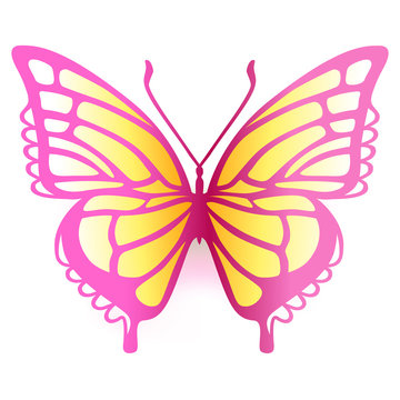 Colored butterfly logo