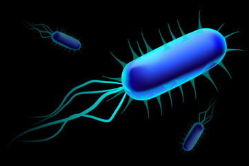bacteria,virus, bacteria background,