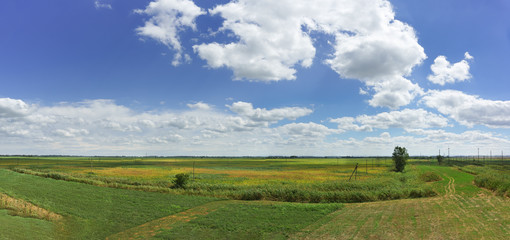 Naklejka premium Agricultural fields in Krasnodar region