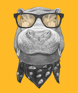 Portrait of Hippo with glasses and scarf. Hand drawn illustration.