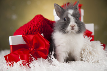 Holiday Christmas bunny in Santa hat on gift box background