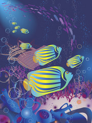 Fototapeta na wymiar Under the sea, aquarium, tropical fish