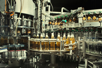 Filling of beer bottles on the conveyor in the plant.