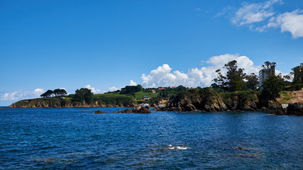 Landscapes or places or famous landmarks in Santa Cruz Galicia, Spain or flowers or backlights or sunsets or textures

