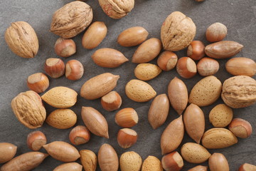 different nuts shell