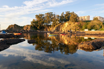Obraz premium Landscapes or places or famous landmarks in Santa Cruz Galicia, Spain or flowers or backlights or sunsets or textures