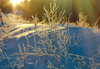 Fototapete Winter Winter landscape.Winter beauty scene