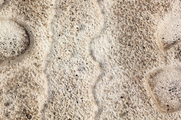 Fototapeta na wymiar Sand surface after the rain