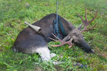 Trophy European moose with a rifle and a call