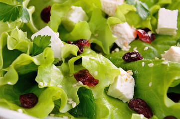 Easy Fitness salad
