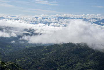 Mountain Guatemala and clouds forest.