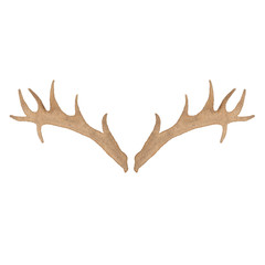 Watercolor deer antler isolated on white background