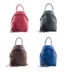 group of color women leather backpacks isolated on white background