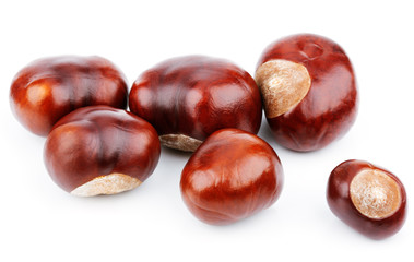 Group of chestnuts isolated on white background