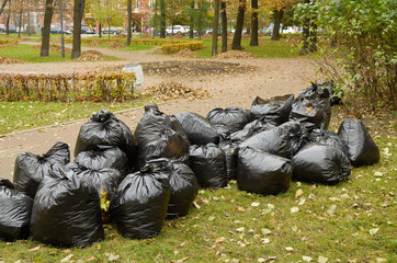 A bunch of cellophane bags