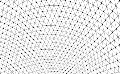 Geometric mesh / Geometric mesh on white background.