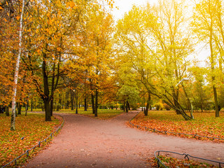 Fototapeta premium Beautiful autumn park with walk way,Autumn in St.petersburg