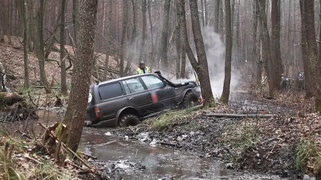 SUV got stuck in the mud in the forest, off-road