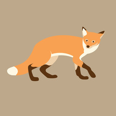 red fox vector illustration style Flat
