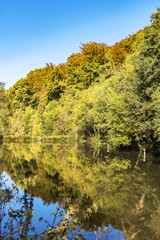 small lake mirroring colorful trees with leaves in fall at low mountain range sauerland, germany