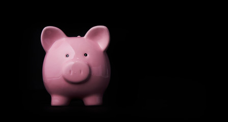 Pink Piggy Bank Isolated on a Black Background