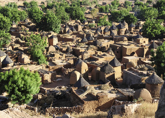 in the dogon country