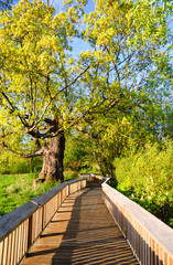 Billy Frank Jr. Nisqually National Wildlife Refuge