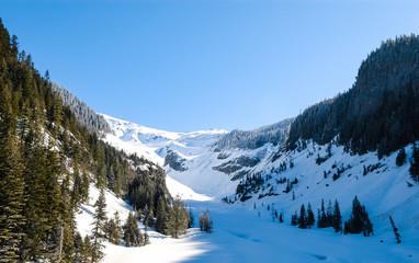 Mount Rainier National Park