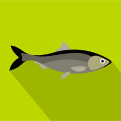 Obraz premium Fish icon. Flat illustration of fish vector icon for web