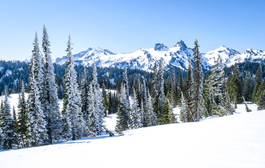 Mount Rainier National Park