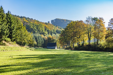 Fototapeta na wymiar landscape with colorful trees with leaves in fall at low mountain range sauerland, germany