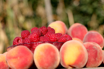 good juicy ripe fruits plate raspberries and peaches.