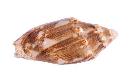 Shell isolated