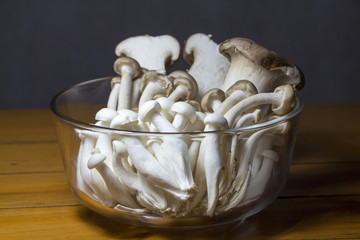 Fresh mushrooms for cooking