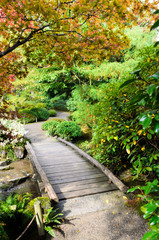 Fototapeta premium Seattle Japanese Garden