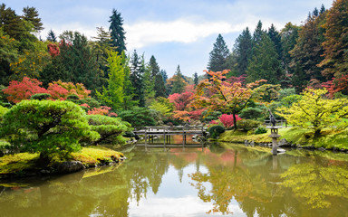  Seattle Japanese Garden