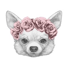 Portrait of Chihuahua with floral head wreath. Hand drawn illustration.