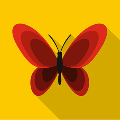 Butterfly icon. Flat illustration of butterfly vector icon for web