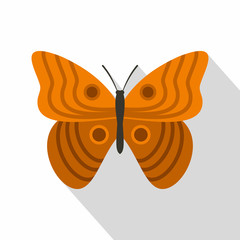 Butterfly with ornament icon. Flat illustration of butterfly with ornament vector icon for web