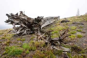 Mount St. Helens