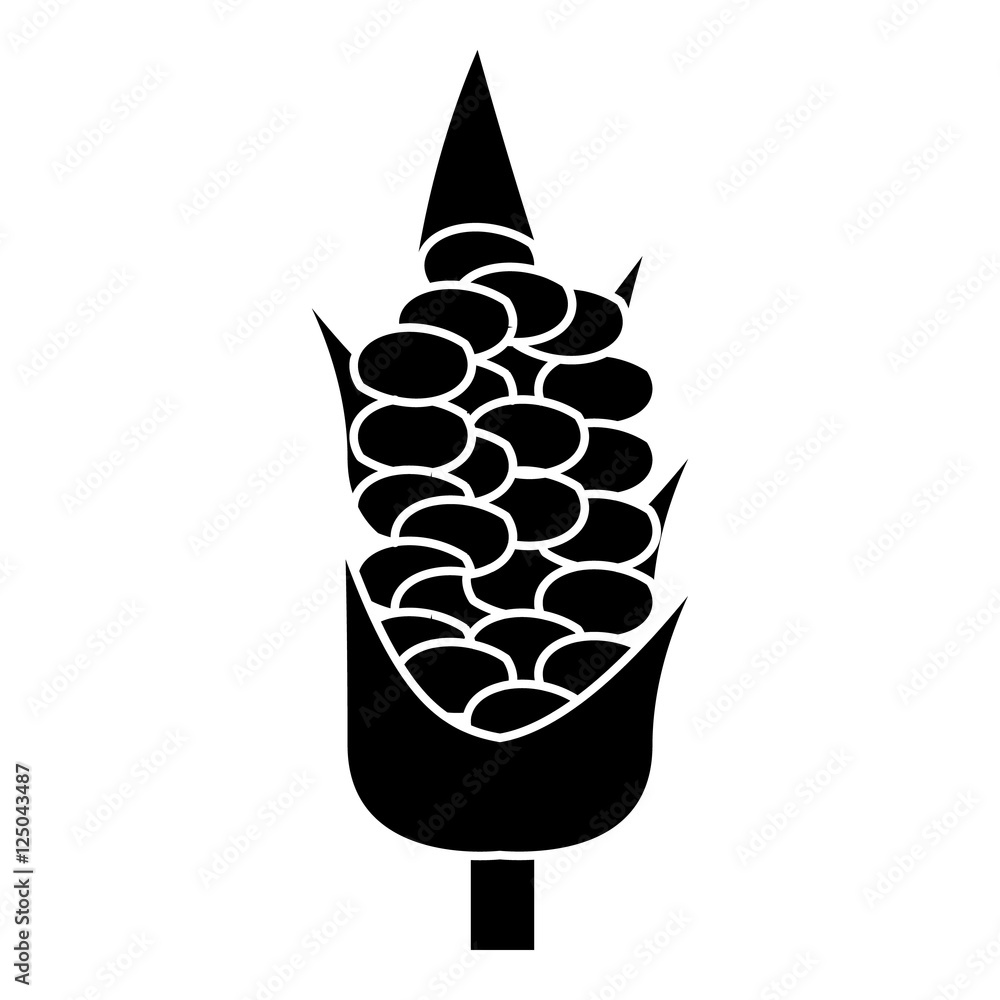 Poster corn on the cob icon. simple illustration of corn on the cob vector icon for web